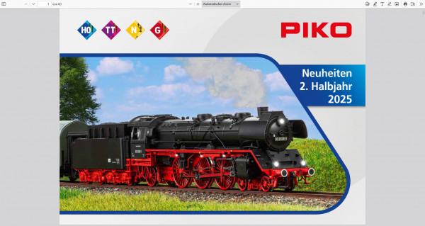 pi-neu1