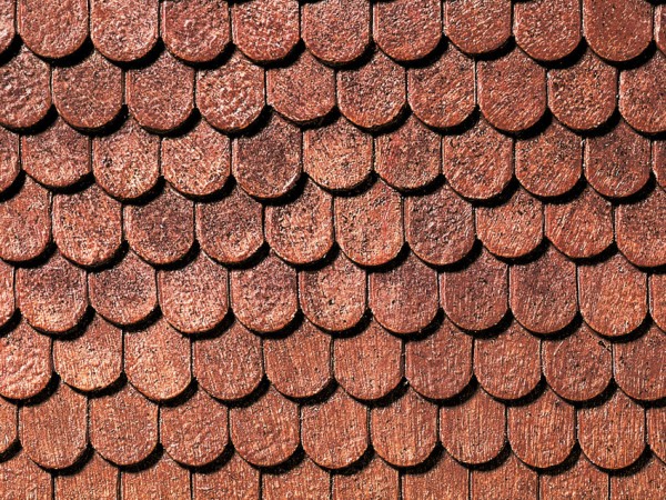 Dachplatte Biberschwanz