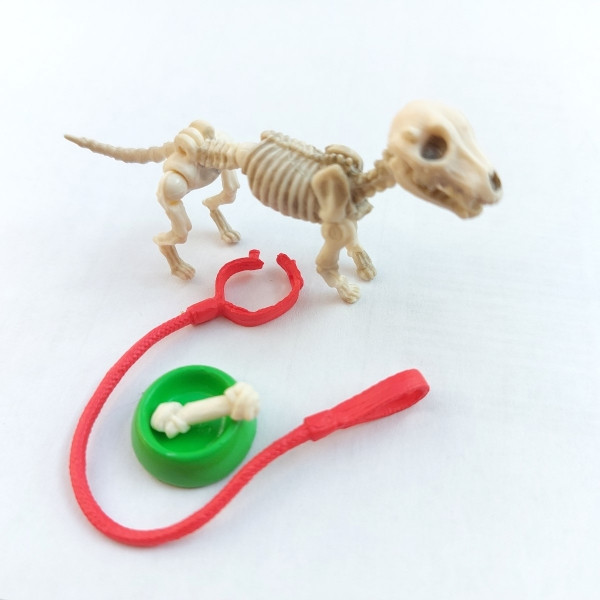 Skelett Hund mit Zubehör, Kunststoff