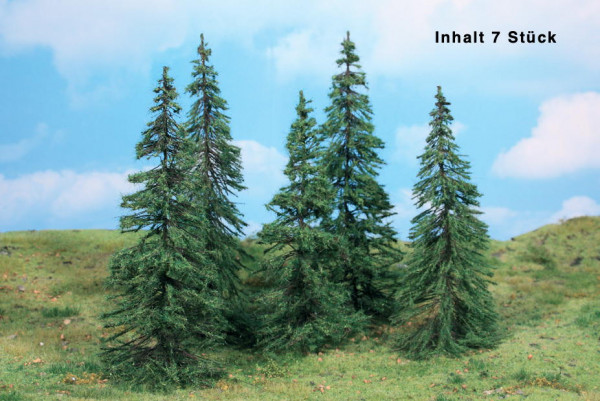 Modelltannen, 7-11 cm, 7 Stück