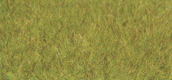 Grasfasern XL, Frühling, 10 mm lang, 50 Gramm