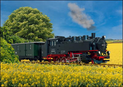 2025-05_lgb-sommer