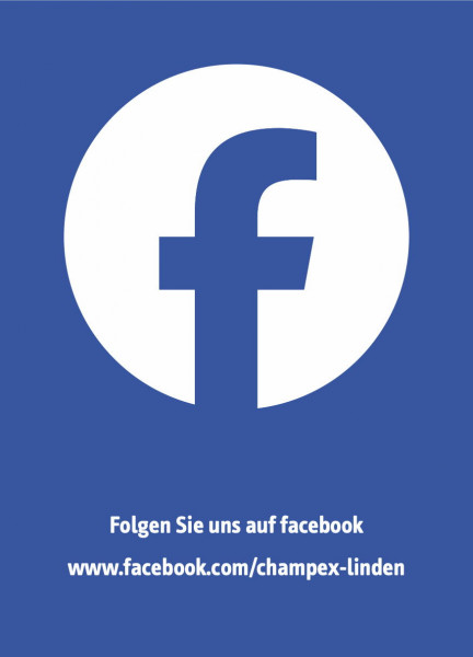 Werbeflyer DIN A6 135g, Facebook