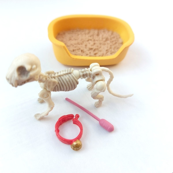 Skelett Katze mit Zubehör, Kunststoff
