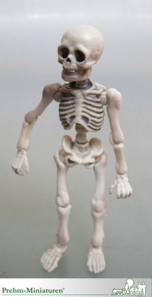 Skelett Mensch, Kunststoff