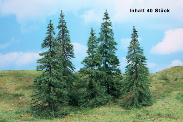 Modelltannen, 7-14 cm, 40 Stück