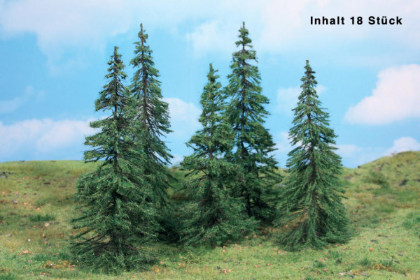 Modelltannen, 14-22 cm, 18 Stück
